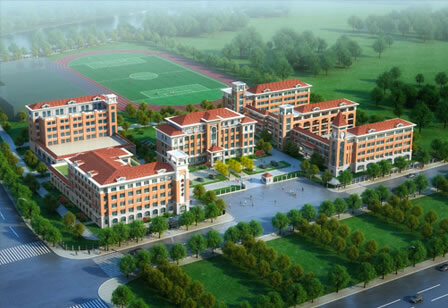 大庆市测试的案例信息，测试的案例信息